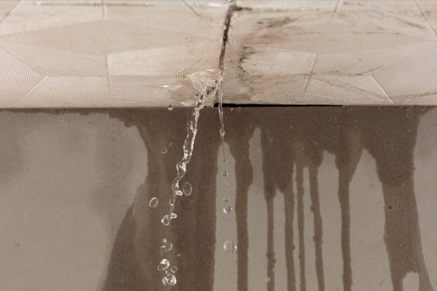 Professional Structural Drying technician working in Edgewood, IN